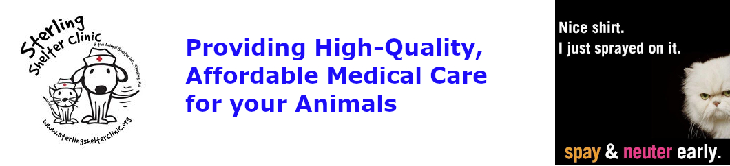 Affordable-Vet-Care Affordable Vet Care